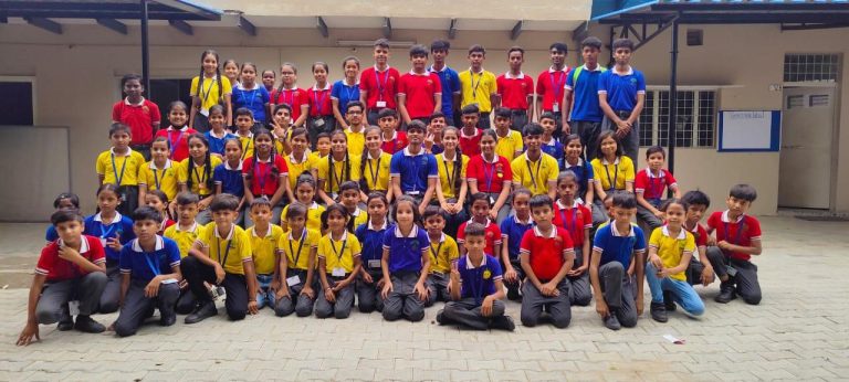 House T-Shirts - 2019